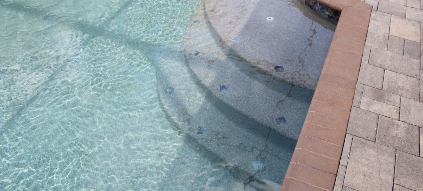 IMG 9454