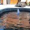IMG 8885