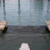 IMG 9946