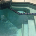 Photo Jun 22  10 57 39 AM