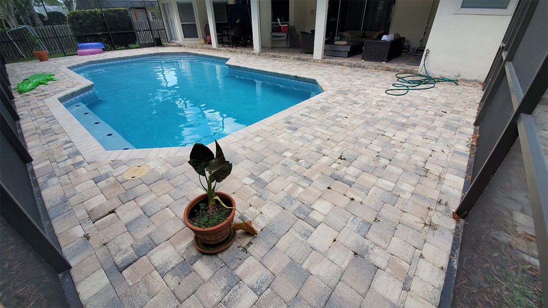 6546a198 8d66 4819 8bc3 933ac86f4db0