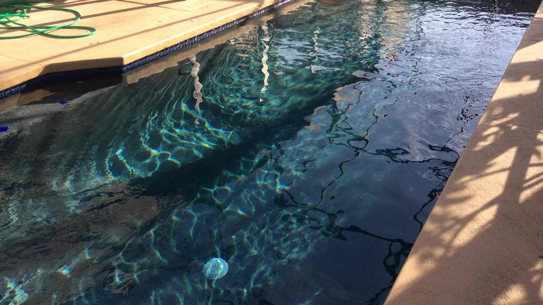 e3c9d447 00d9 40fd bb8b f199d3bd7f91