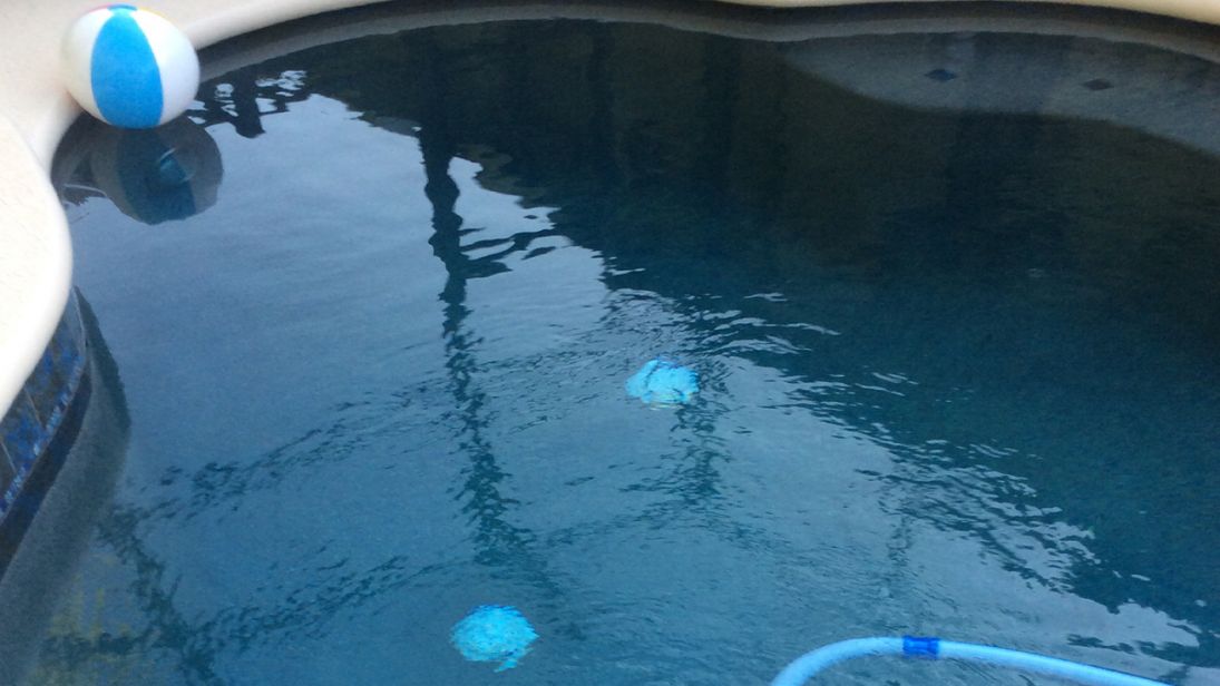 099f4fc0 7a1b 491c 8e42 4c8b2a08ae11